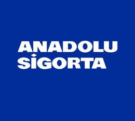 Fitch, Anadolu Sigorta’nın kredi notunu teyit etti